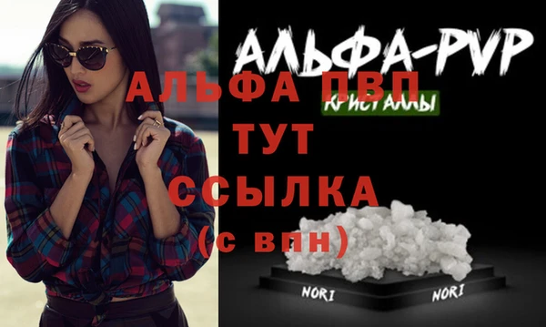 сатива Покров