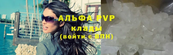 сатива Покров