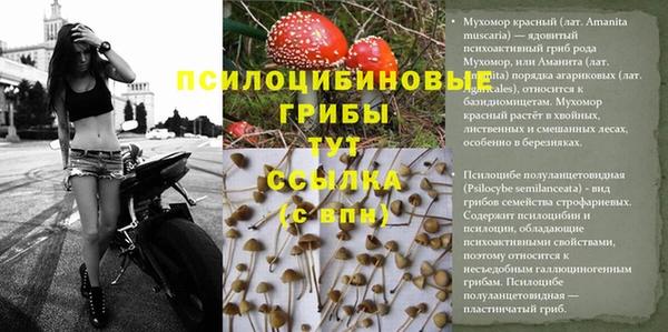 MDMA Premium VHQ Покровск